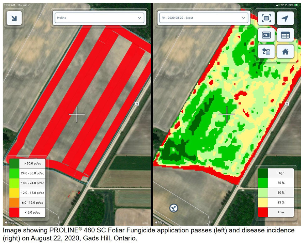 Climate FieldView™ Platform image of PROLINE® 480 SC Foliar Fungicide application passes and disease incidence on August 22, 2020 at Gads Hill, Ontario